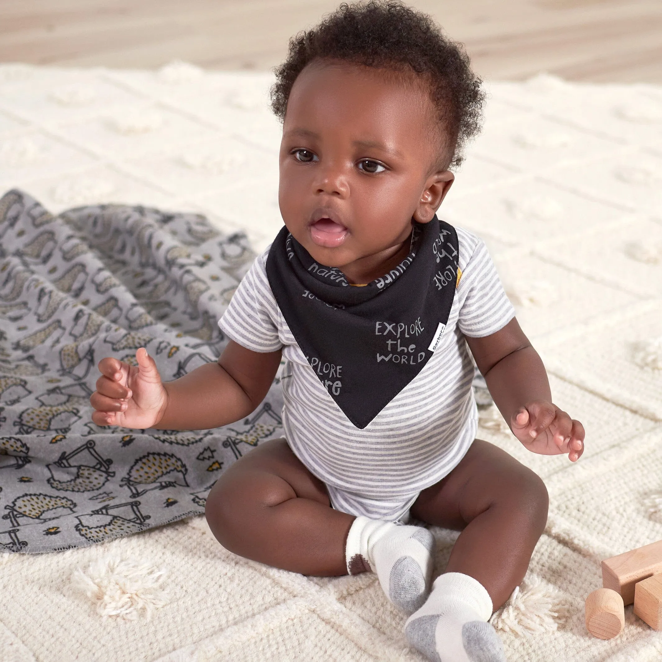 4-Pack Baby Boys Hedgehog Bandana Bibs