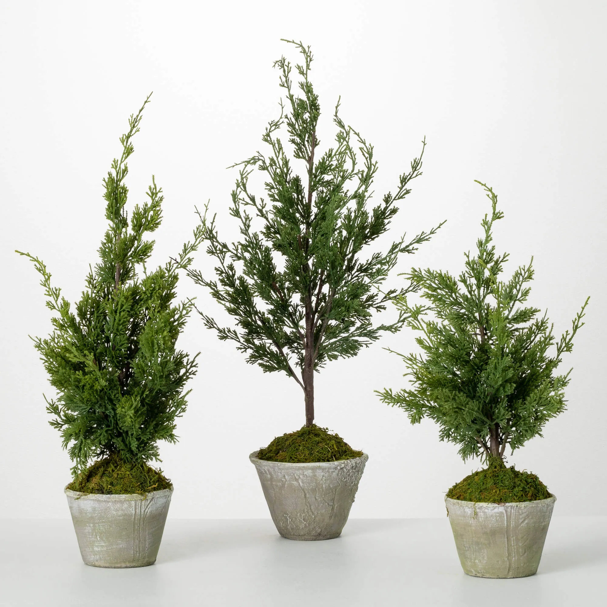 Faux Dwarf Cedar Tree Set Of 3