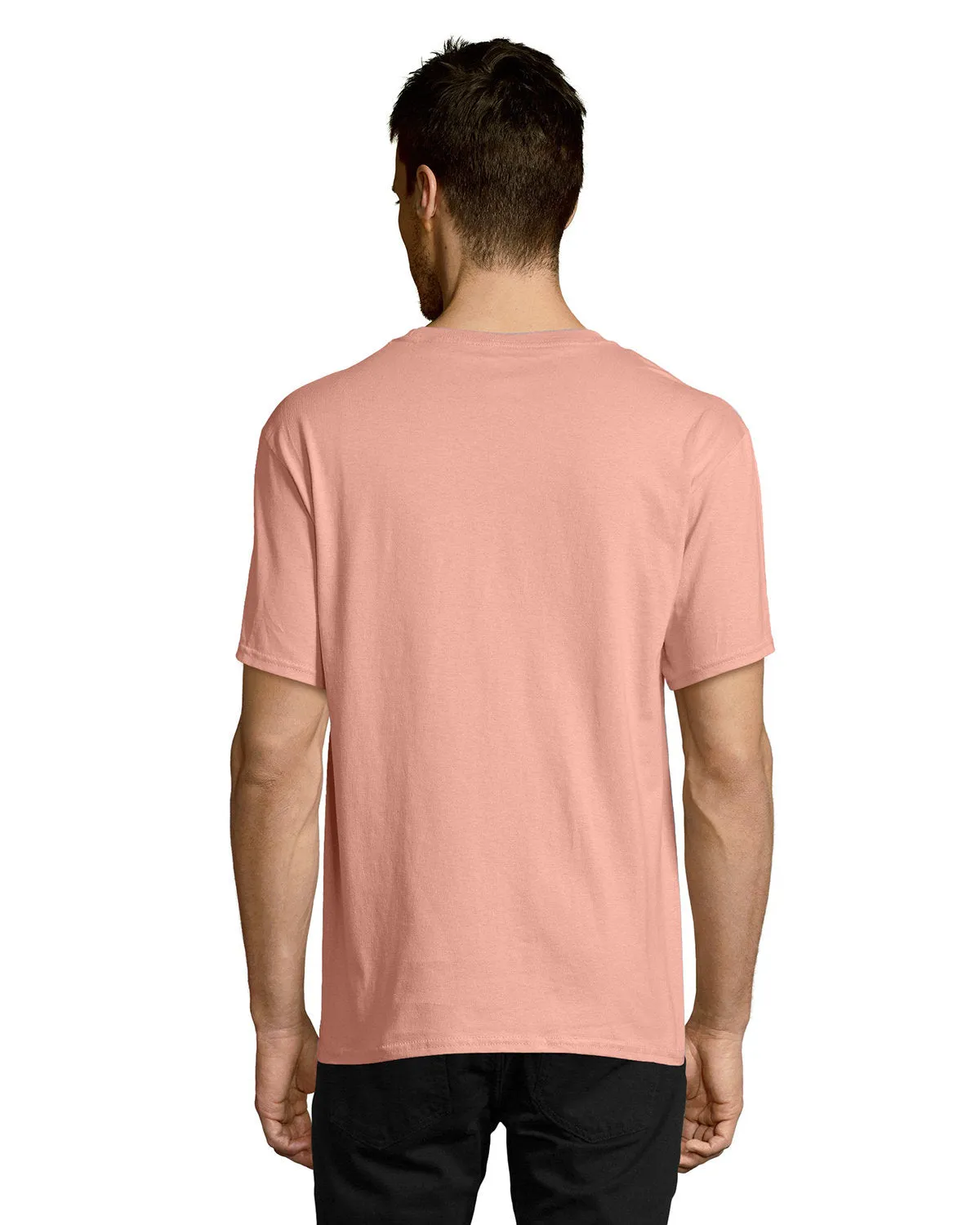 Hanes 5250T Men's Authentic-T T-Shirt