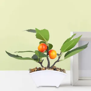 Urbane Home Artificial Plants For Home Décor|Natural Looking Indoor Fake Plants With Pot|Artificial Flowers For Decoration (Orange)